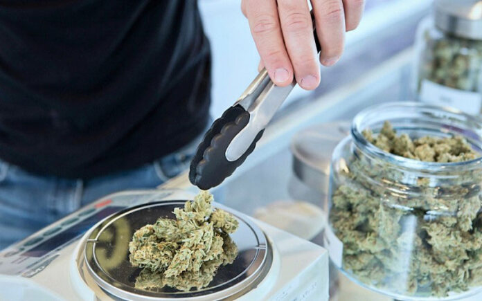 Weighing cannabis medical marijuana