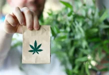 Cannabis delivery Quebec