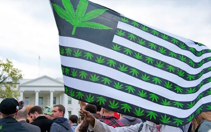 Cannabis flag marijuana