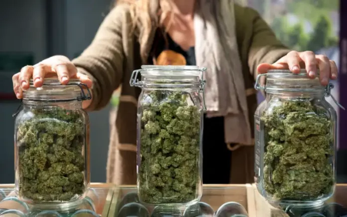 Cannabis jars Massachusetts