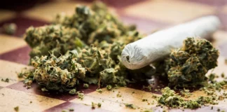 Recreational cannabis Maryland