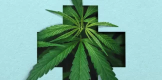 therapeutic-benefits-of-cannabis-a-closer-look therapeutic
