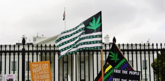 Cannabis demonstration President Biden