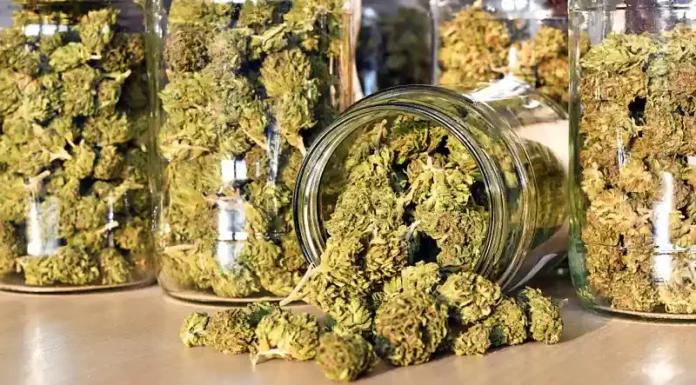 Jars of cannabis NYC