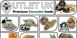 Cannabis Seeds Outlet UK Home Page