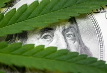 Cannabis and cash SAFE Banking