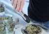 Cannabis dispensary NY’s first legal pot shop