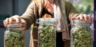 Cannabis-jars illegal marijuana