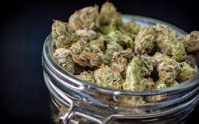 Cannabis nugs in jar Connecticut