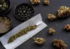 cannabis paraphernalia Wisconsin