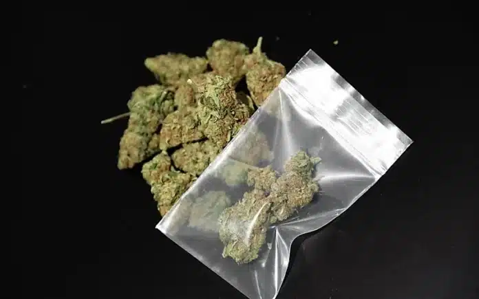 Bag of cannabis Denton