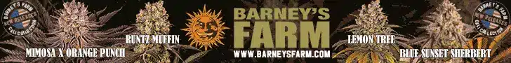 Barney's banner Barney's Farm