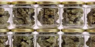 Cannabis jars Ontario