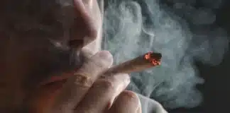 man smoking cannabis gateway drug