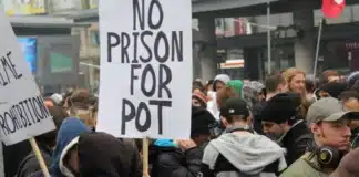 no prison for pot Luke Scarmazzo