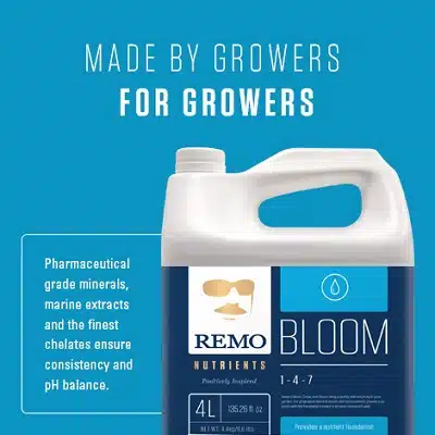 Bloom Remo