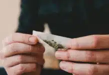 Man rolling joint Americans