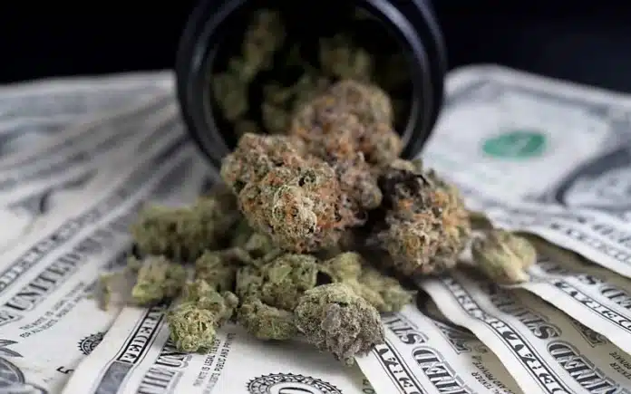 Marijuana and US dollars Michigan