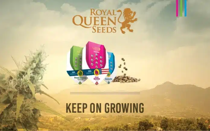 RQS Banners 4202 Royal Queen Seeds