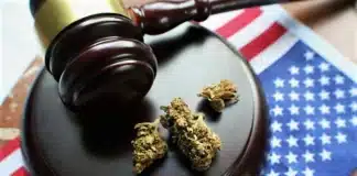 cannabis law Justice Department