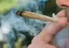 smoking cannabis joint Maryland's