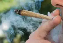 smoking cannabis joint Maryland's