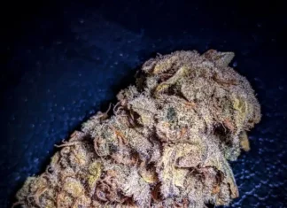 Platinum Punch Nug of the Month