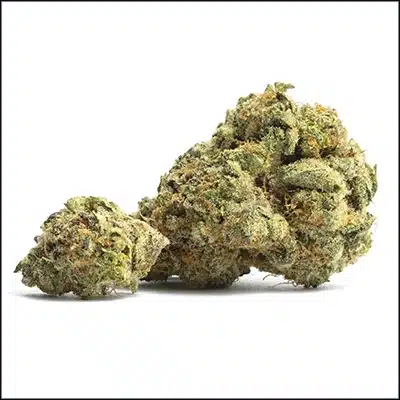 Apple-Cake-Strain Iced Out Genetics