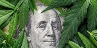 Cannabis and dollars Oregon secretary of state