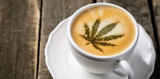 Cannabis leaf on coffee Massachusetts cannabis