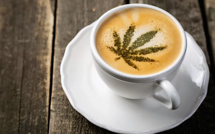 Cannabis leaf on coffee Massachusetts cannabis