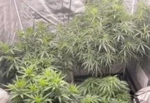 Grow-journal-of-the-month-April-2023