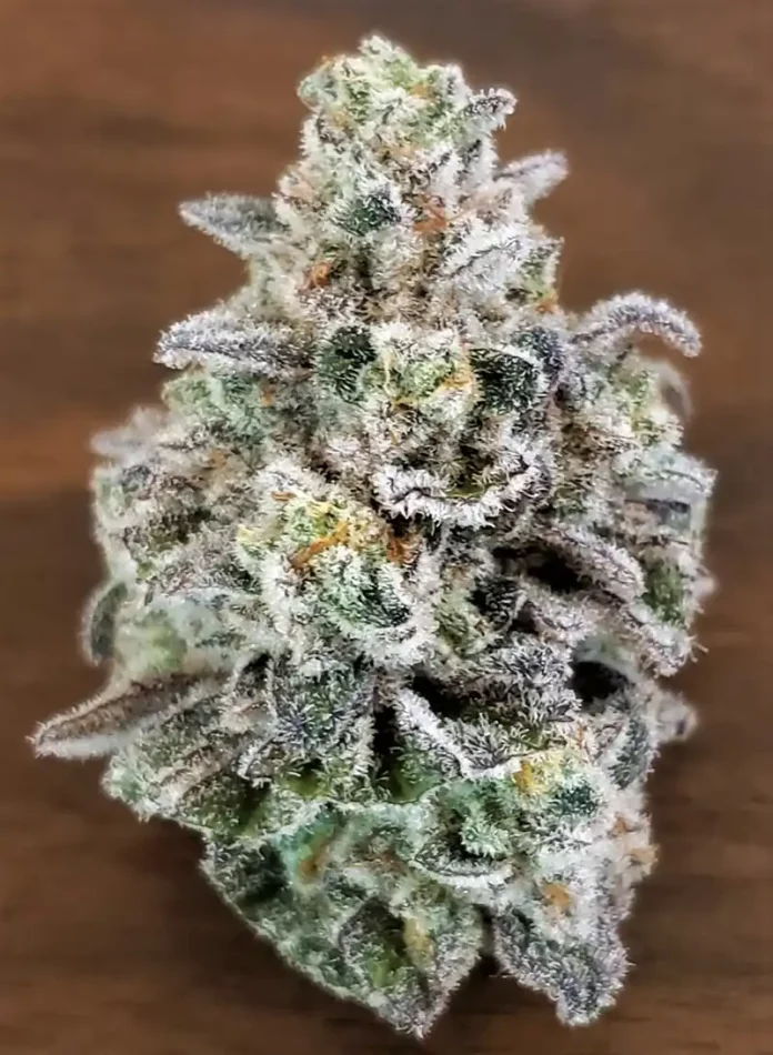 Cap Junky 420 Magazine’s Nug of the Month