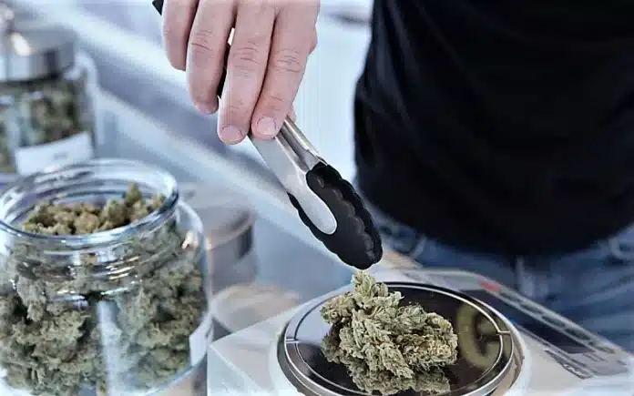 Serving cannabis in dispensary Marijuana Sales