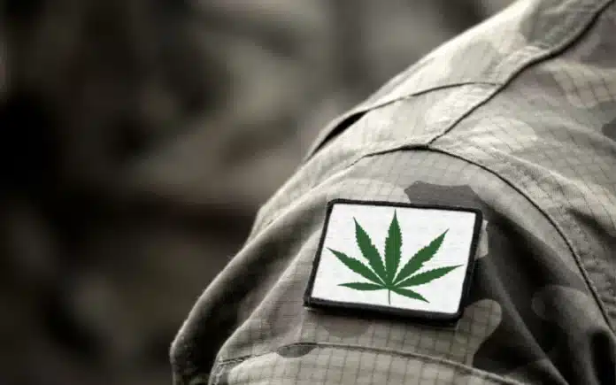 cannabis badge on military uniform Massachusetts