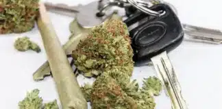 cannabis joint nugs car keys deported