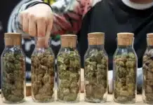 jars of cannabis Cannabis Regulators