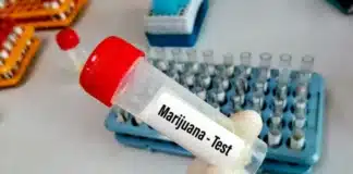 marijuana test NCAA