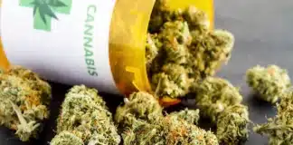 medical marijuana NC