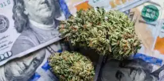 Cannabis and money Cannabis banking