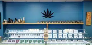 Cannabis dispensary NY Supreme Court