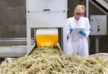 Industrial hemp processing South Dakota