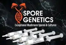 972x705 420 AD Spore Genetics