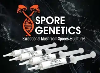 972x705 420 AD Spore Genetics