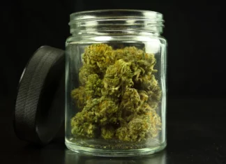 Cannabis buds in a glass jar marijuana storage