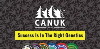 CanukSeeds_420Mag_WebsiteImage_FINAL Canuk Seeds
