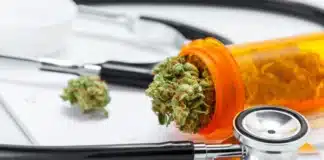 Medical marijuana Alabama Cannabis Coalition