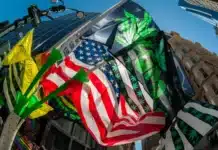 New York annual cannabis parade illegal weed stores