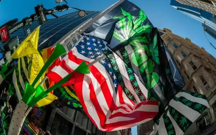 New York annual cannabis parade illegal weed stores