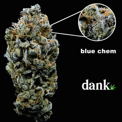 blue-chem-dank-seeds Dank Seeds